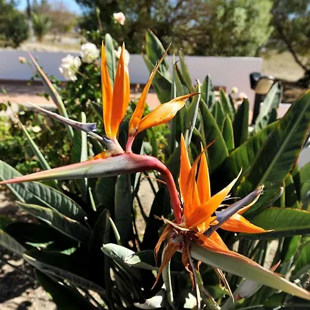 Appartamento Tsakanos