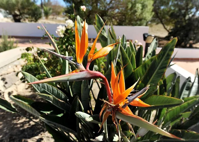 アパート Tsakanos