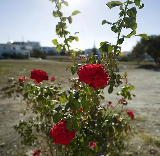 アパート Tsakanos