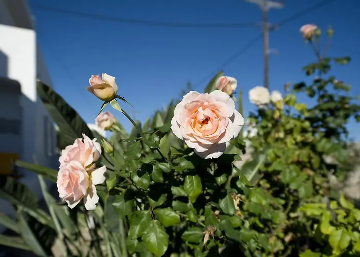 アパート Tsakanos