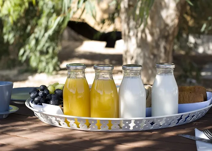 Tsakanos * アダマス